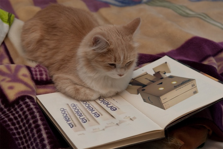 20120309-143611.jpg